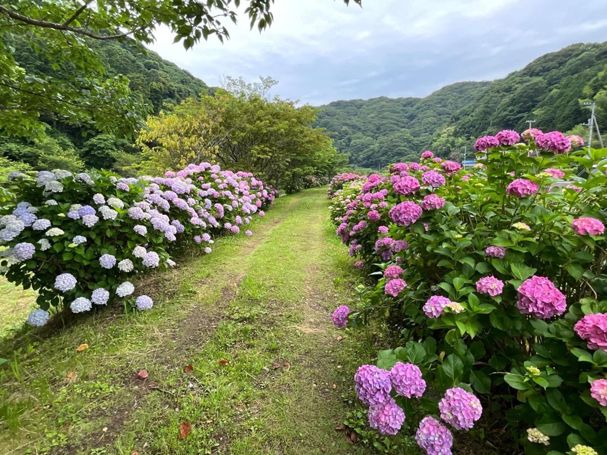 Ｋａｏｒｕ　Ｉｎｎ Villa Minamiizu Eksteriør bilde