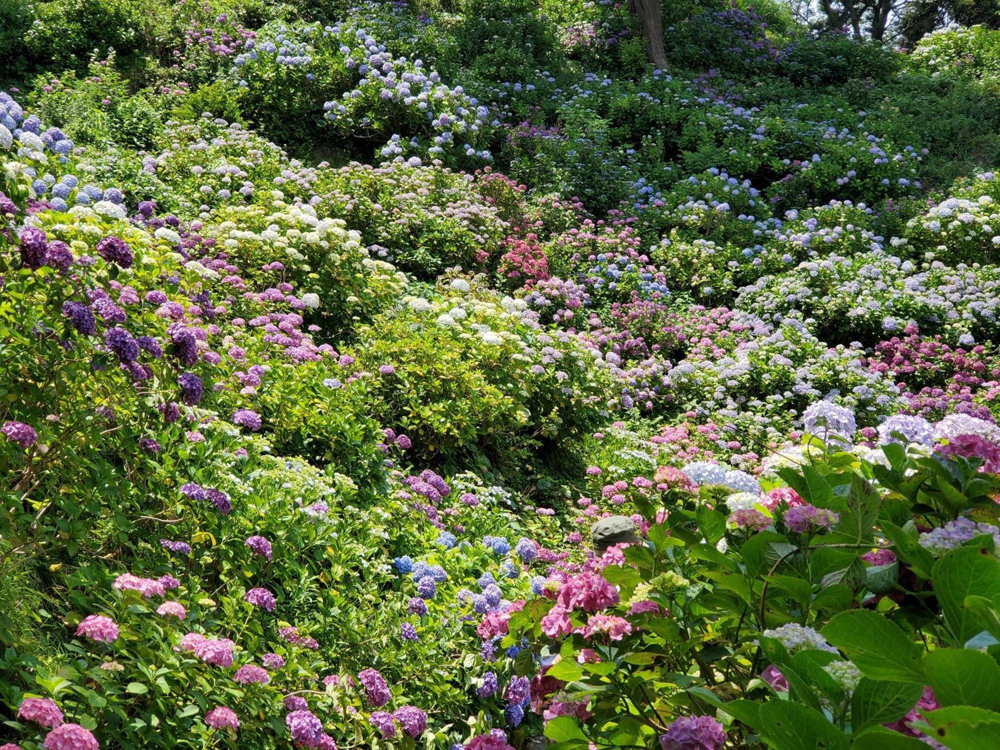 Ｋａｏｒｕ　Ｉｎｎ Villa Minamiizu Eksteriør bilde
